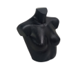 pp3-removebg-preview.png