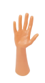 r1-removebg-preview.png