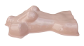 wytciel1-removebg-preview.png